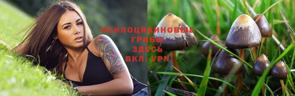 хмурый Алзамай