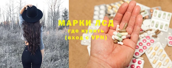 хмурый Алзамай