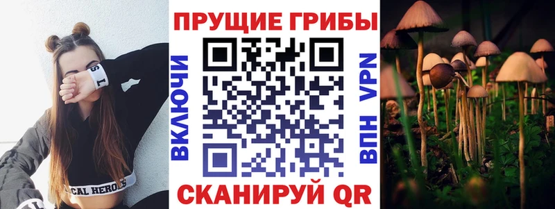где найти наркотики  Курск  Галлюциногенные грибы мицелий 