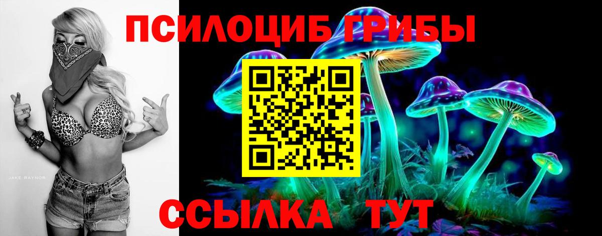 Галлюциногенные грибы мухоморы Курск